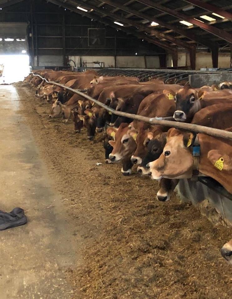 Exportaciones agropecuarias en Oujda – Calidad y confianza desde Marruecos para el mercado internacional. Productos agrícolas frescos, logística eficiente y garantía de excelencia