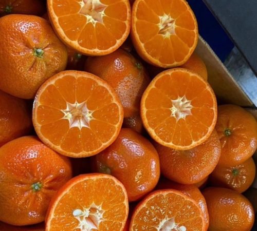 WhatsApp Image 2026-02-13 at 14.49.58