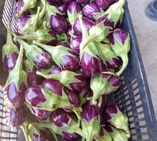 WhatsApp Image 2026-02-13 at 14.52.14 (1)