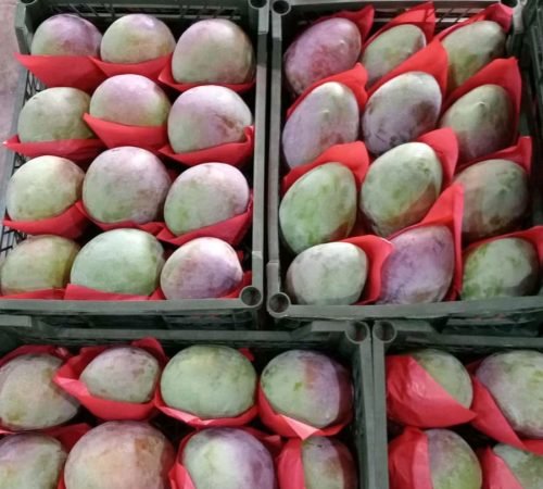 WhatsApp Image 2026-02-13 at 14.52.15 (3)