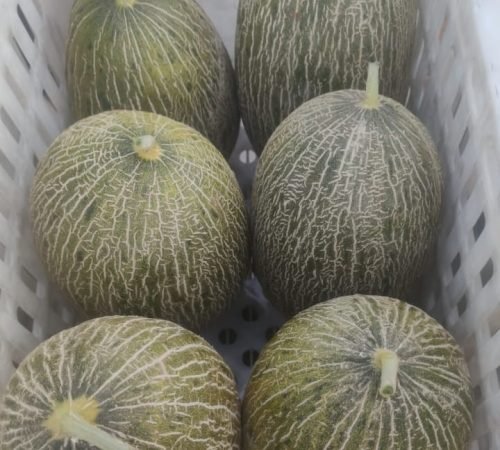 WhatsApp Image 2026-02-13 at 14.52.17-buena