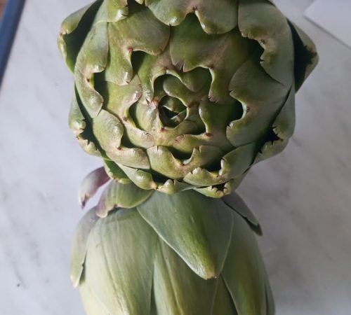 WhatsApp Image 2026-02-13 at 14.52.18