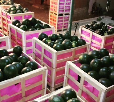 Exportaciones agropecuarias en Oujda – Calidad y confianza desde Marruecos para el mercado internacional